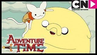 Ven Conmigo PARTE 1 | Hora de Aventura LA | Cartoon Network