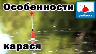 что делать если нет клева на рыбалке что делать если нет клева на рыбалке