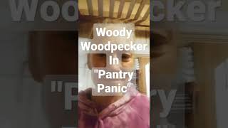 Woody Woodpecker In Pantry Panic