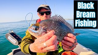 BIG Black Bream Fishing With Mackerel Feathers and Scallop Frills! - Sea Fishing UK