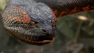 Anaconda (1997) Movie Animatronic Snake | Behind The Scenes | Making Of Anaconda