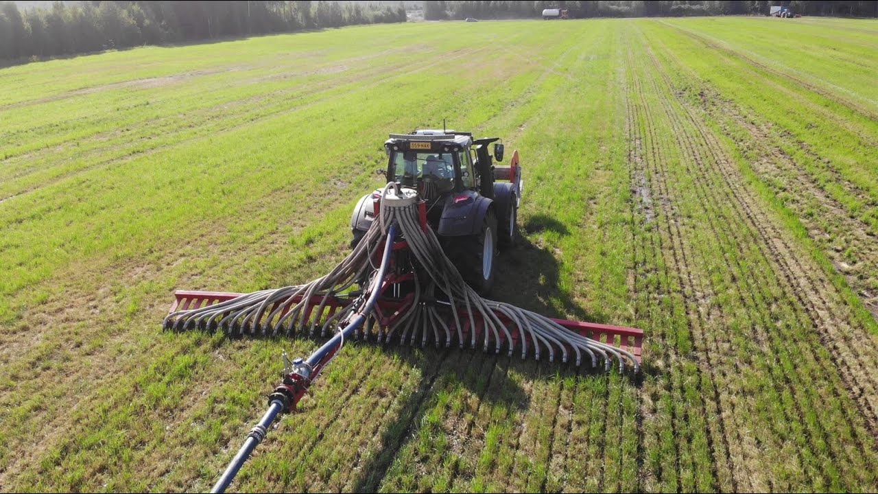 Vetoletkulevitys karjusuolle