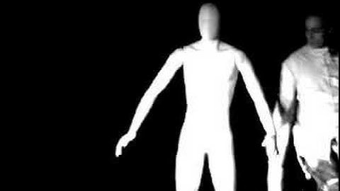 Labyrinth - L.Y.A.F.H.