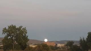 Moonset 9-29-23 6:45 am #fairyliberationfront