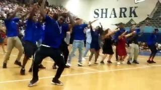 Homecoming pep rally 2016 Riverview High School