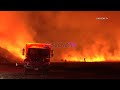Shore Fire Grows To 2,600 Acres Near Calimesa