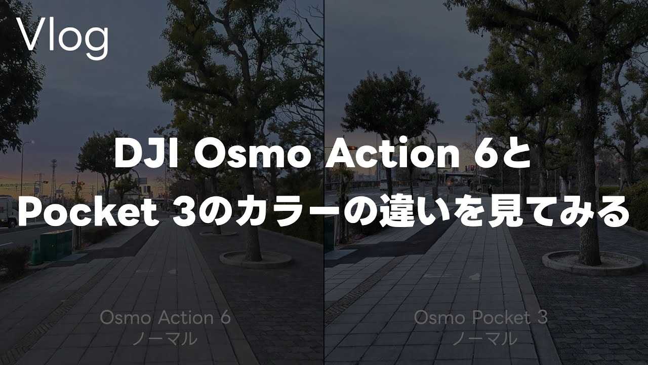 【カラー】DJI Osmo Action 6とPocket 3で朝散歩！カラーの設定を変えてみて色の調子を見てみるって話 Vol.1011