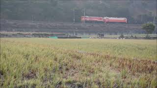 臺灣鐵路局 R20型柴電機車影像紀錄-7502次海線段貨物列車(20210205_R34)
