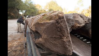 The Beauty of River-Recovered® Longleaf Heart Pine