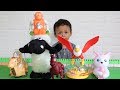 Mainan Shaun the sheep, Unta, Orangutan, Kucing, Keledai dan Burung Elang - Bermain dan Belajar