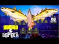 Русская рыбалка 4. 🎣🦈 Норвежское море 🧜♂️🐬🐡🐬💦 ЛОВЛЯ с БЕРЕГА 👀