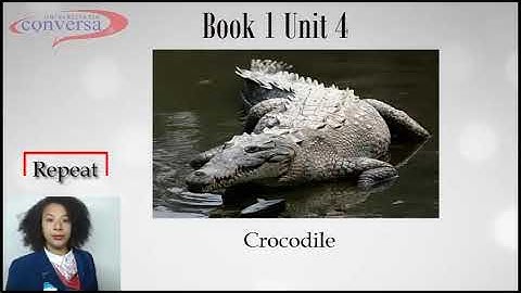 Book 1 unit 4 part 1