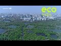 Eco India: How Dharavi's Kolis use an age-old method to continue fishing in Mumbai's dirtiest river