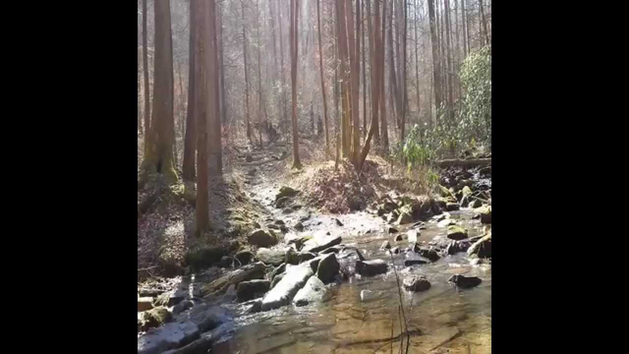 2015 02 08 Cat Gap Loop Trail Dayhike