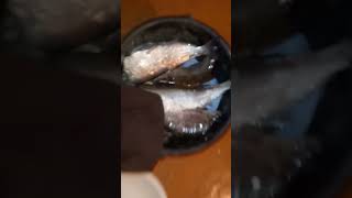 и плотва и чехонь (что ещё нужно для счастья)