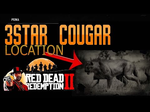Red Dead Redemption 2: Puma PIel 3 Estrellas