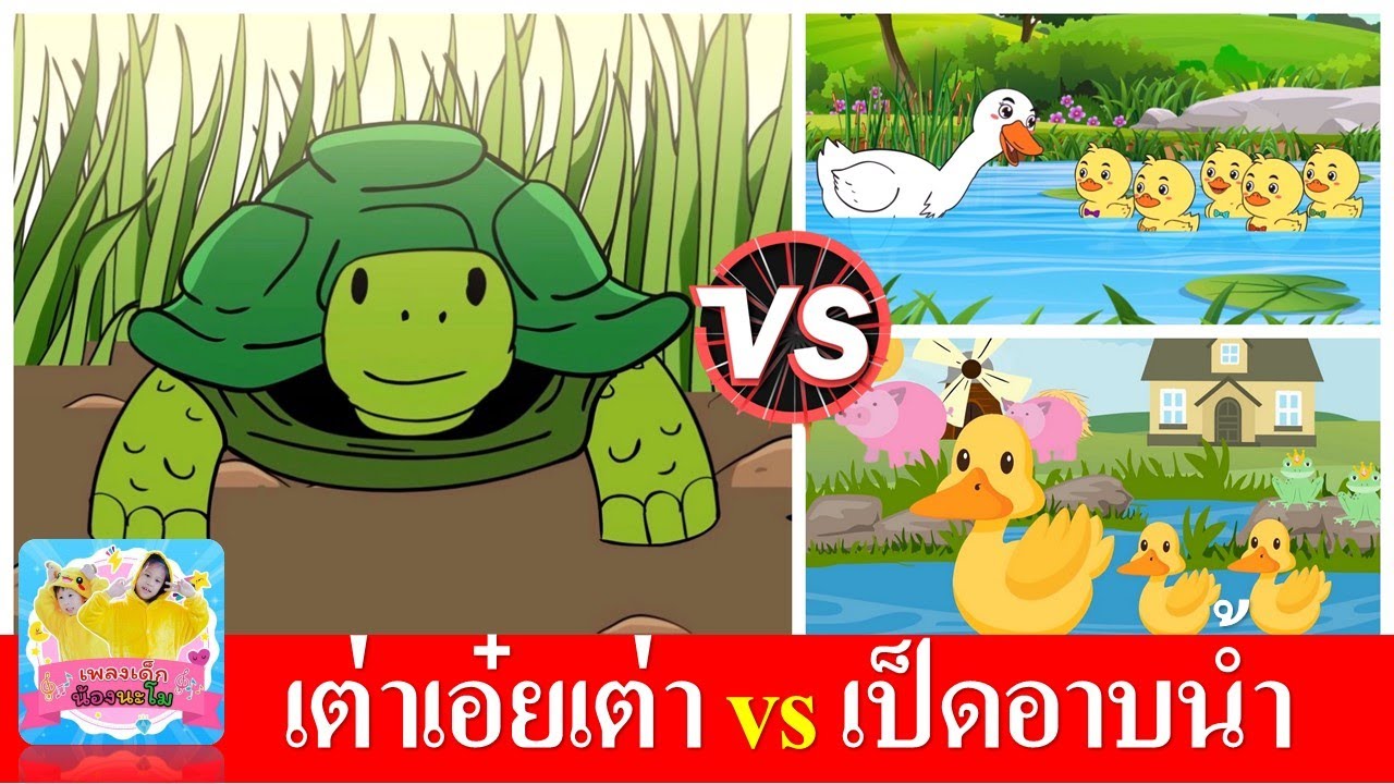เต่าเอ๋ยเต่า vs เป็ดอาบน้ำ
