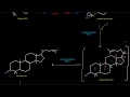 Cholesterol Synthesis (Part 5 of 6) - Stage 4: Squalene Cyclization