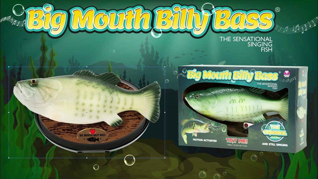 Funtime SS5600 Singing Sensation Billy Bass - Sings I Will Survive - 28 cm  de Long - Vert : : Jeux et Jouets