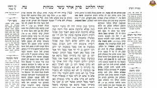 הדף היומי מסכת מנחות דף צ"ה - הרב אברהם נאור