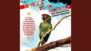 Video thumbnail of "Trio Camalote De Panuco Veracruz - El Gustito"