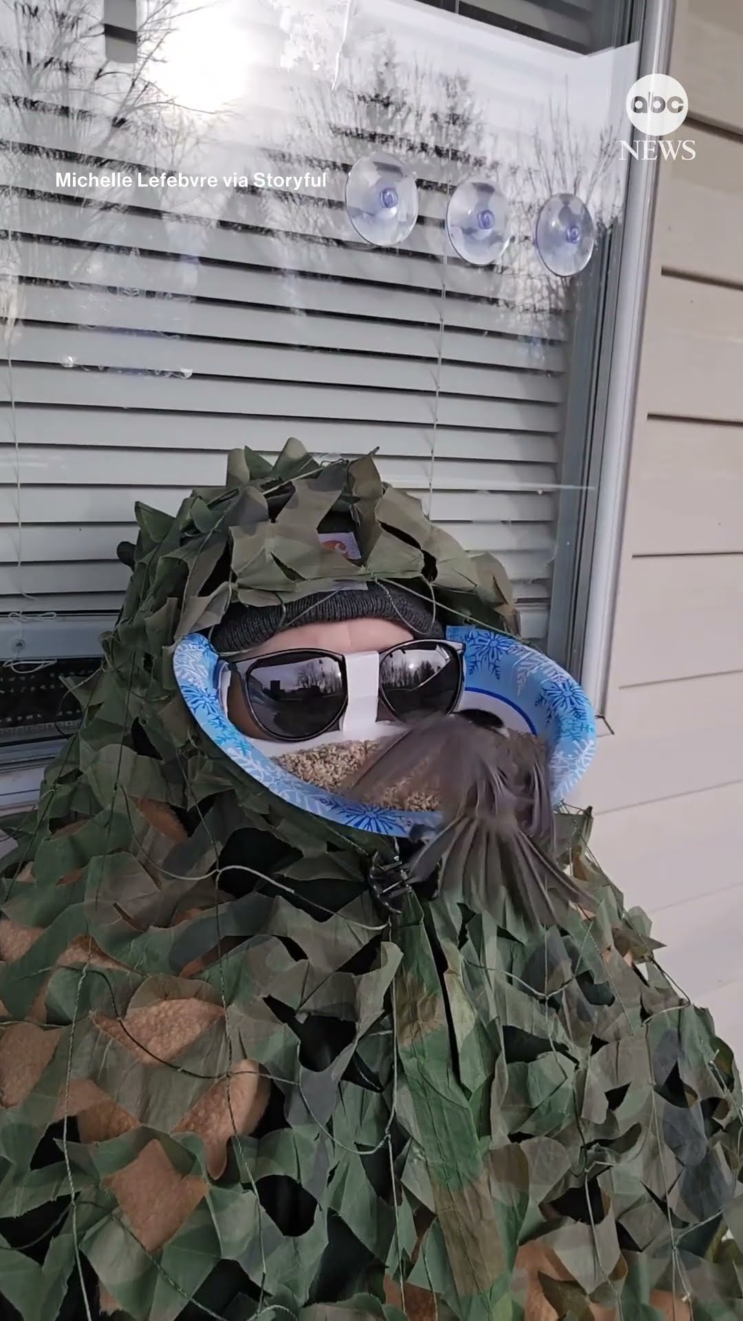 Birds flock to Canadian woman’s DIY ‘face feeder’