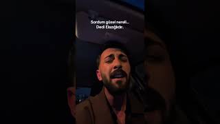 Kaşları karalıdır gözleri belalıdır sordum güzel nereli dedi elazığlıdır Gürsel Toprak #halay #fyp