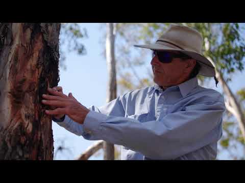 Managing forest health