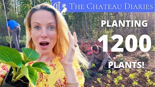 1200 PLANTS in 3 DAYS! The TRANSFORMATION of a WASTELAND into a CHATEAU GARDEN