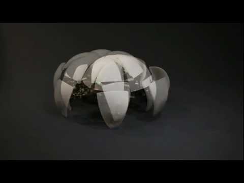 Video: Graceful Globular Hexapod-Bot Unfurls Leafy Limbs And Scampers Along