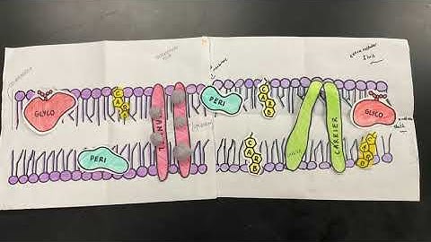 Simple Diffusion Video