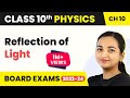 Reflection of Light - Light: Reflection And Refraction | Class 10 Physics