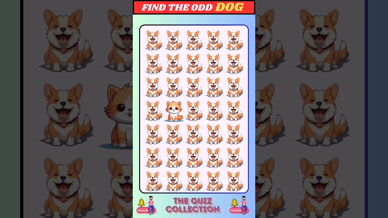 Find The Odd Dog | Odd One Out 