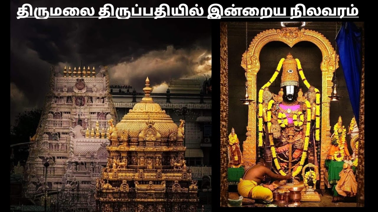 ttd-free-darshan-updates-ttd-today-latest-updates-ttd-december