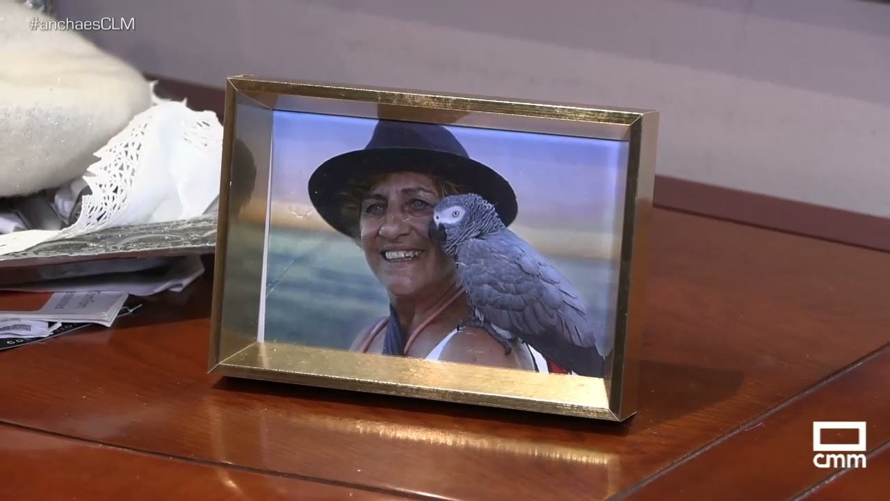 Buscamos a Frida por Albacete