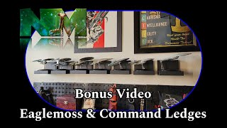 Eaglemoss and Command Ledges