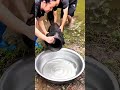 Long fish trap lets fish in with no way out