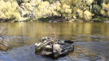 Motueka ICM: The Challenge of Integration