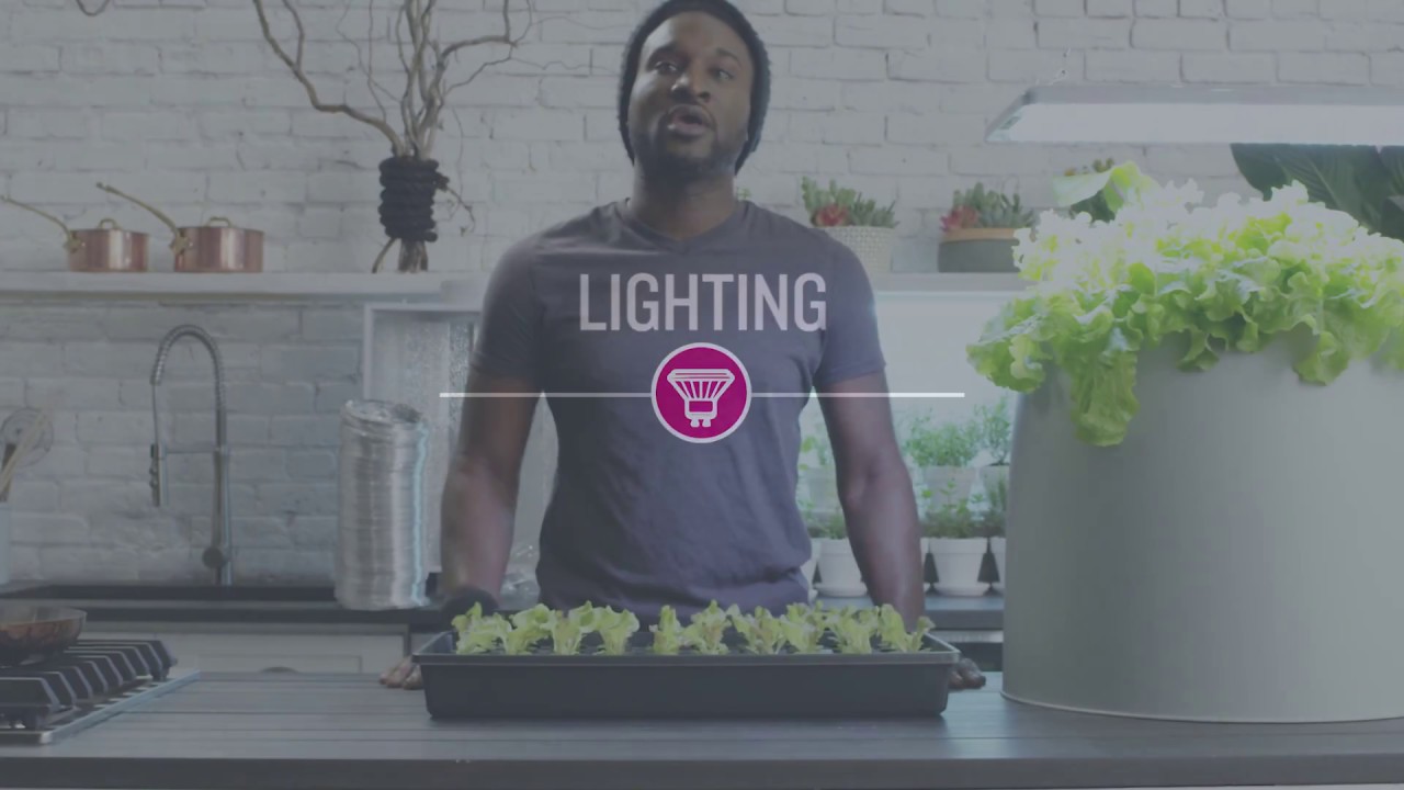 Types Of Grow Lights For Hydroponics Root Farm Canada Youtube