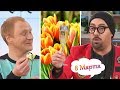 8 марта - 🌹 Как выбрать цветы? 🥂 Как поздравить? 💐 Что сделать чтобы букет стоял долго?