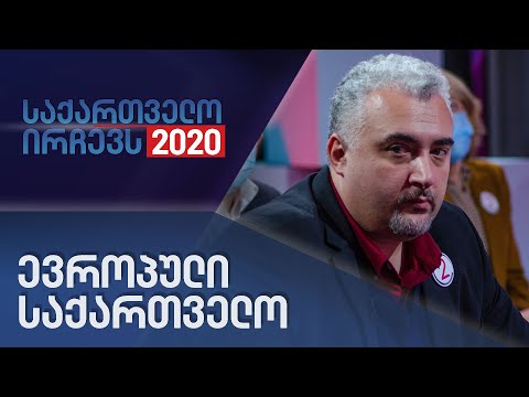 საქართველო ირჩევს 2020 - პარტია - ევროპული საქართველო - II ნაწილი