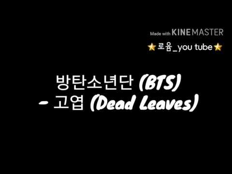 로윰🎉/노래가사/방탄소년단(BTS) - 고엽 (Dead Leaves)
