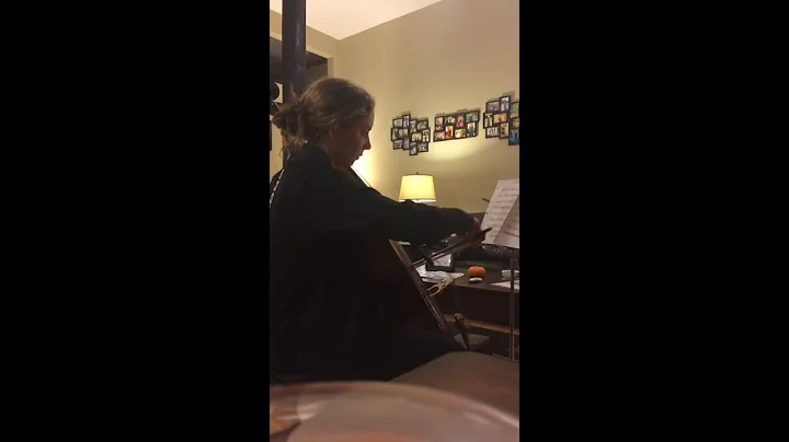Dr  April Barnum Classic Cello