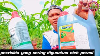 Pestisida yang Sering digunakan oleh petani