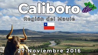 Caliboro Región del Maule, Chile