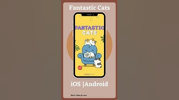 Mobile games for cat lovers | Cozy mobile games