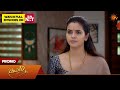 Kayal - Special Promo | 25 Apr 2026 | Tamil Serial | Sun TV