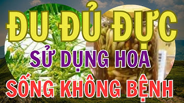 Sử dụng hoa đu đủ đực ngâm mật ong sống không bệnh