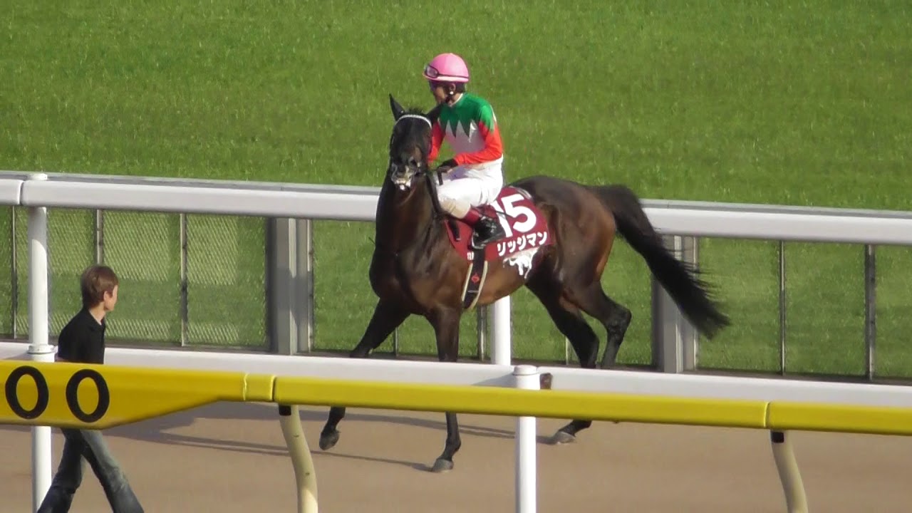 2018 第132回 目黒記念GⅡ 本馬場入場 現地映像 ウインテンダネス YouTube