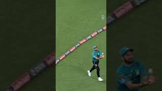 Best Catch in Cricket History 2024